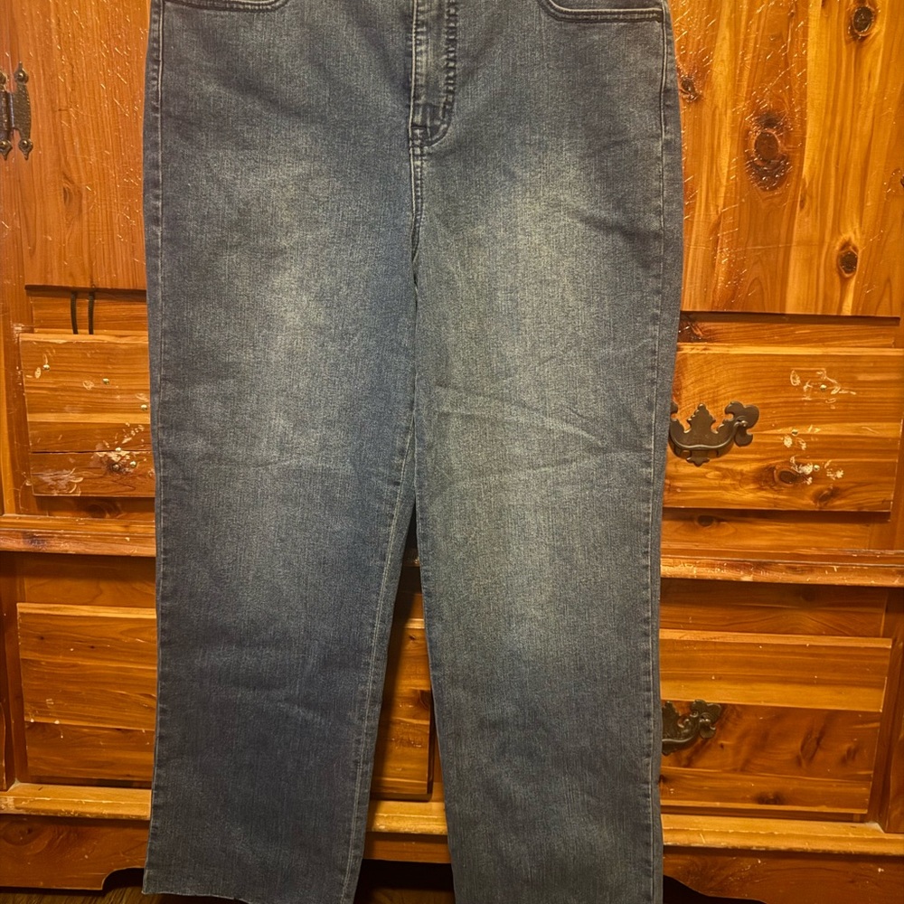 Classic Blue Denim Jeans Size 14! NWT!